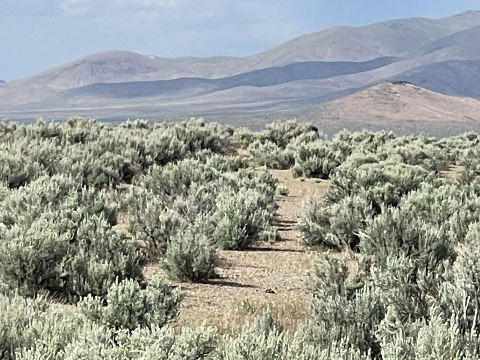 2-5 Acre Button Point Winnemucca, NV 89445 - Photo 15 of 23