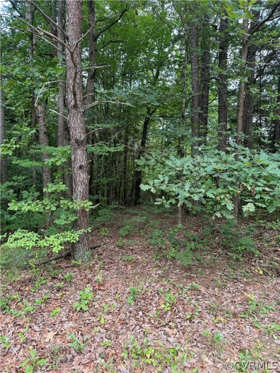 720 John Henry Brown Road Clover, VA 24534 - Photo 1 of 3 View of landscape