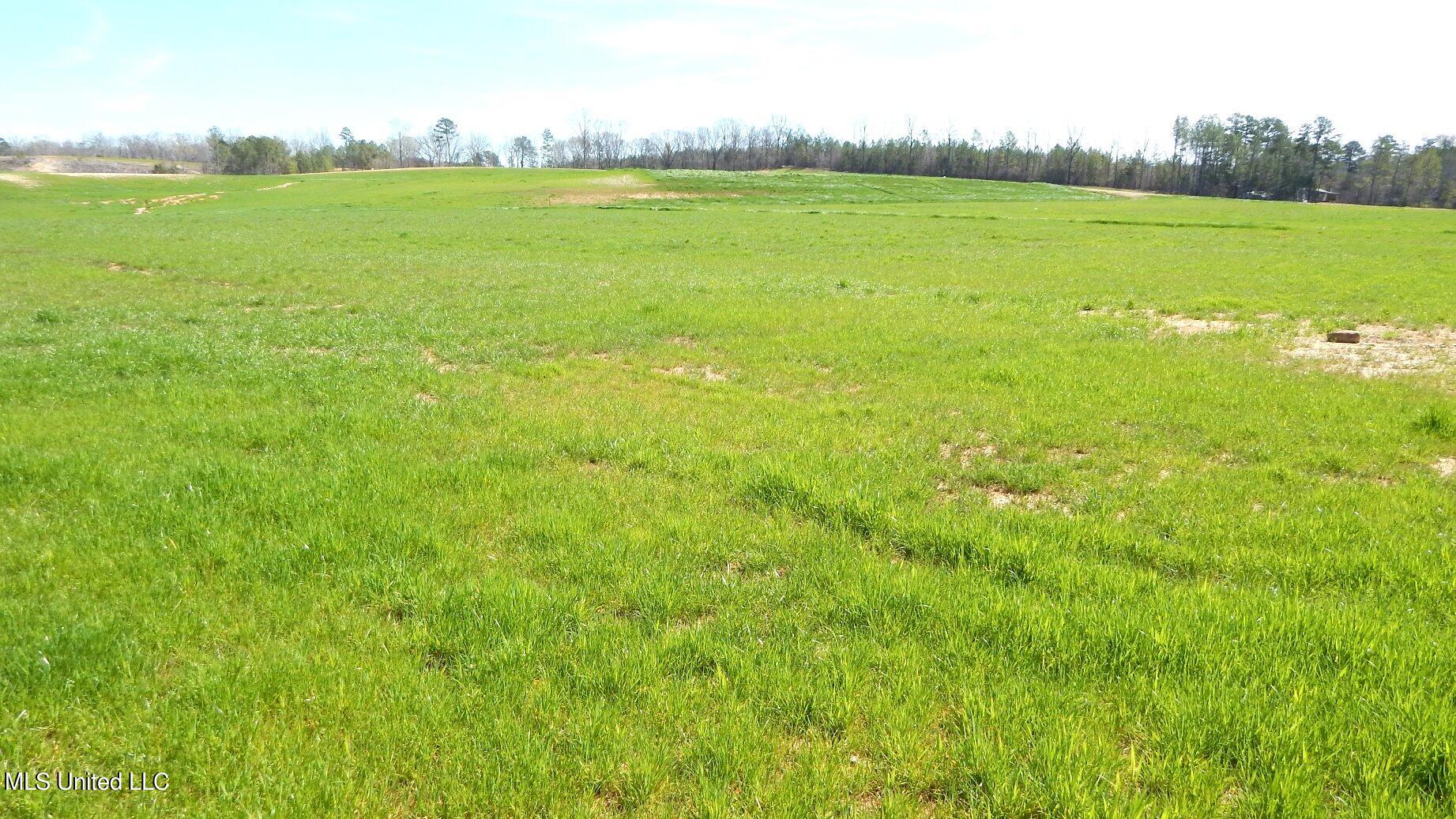 769 Graysport Crossing Road Gore Springs, MS 38929 - Photo 2 of 10 DSCN4940