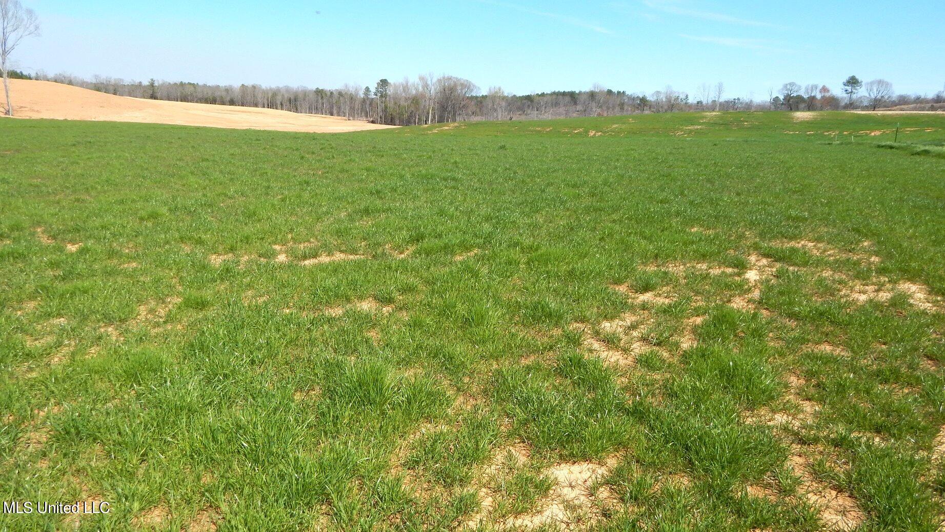 769 Graysport Crossing Road Gore Springs, MS 38929 - Photo 3 of 10 DSCN4941