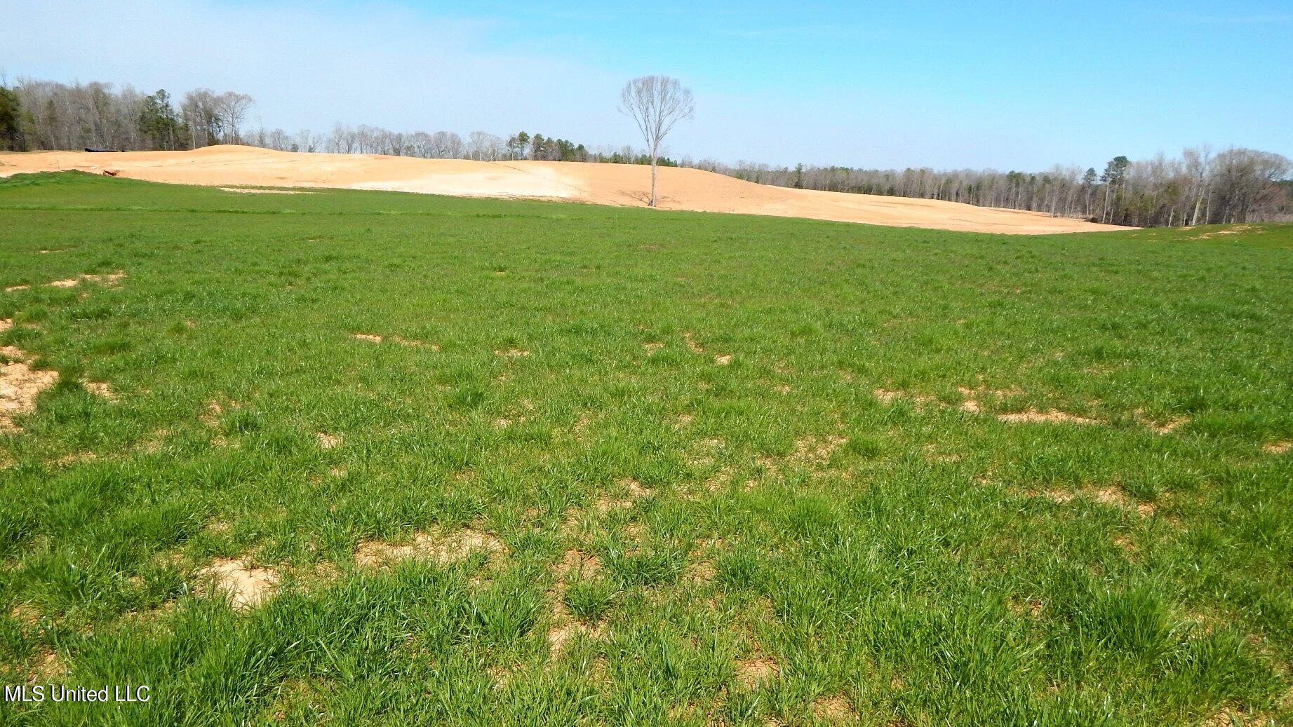 769 Graysport Crossing Road Gore Springs, MS 38929 - Photo 4 of 10 DSCN4942