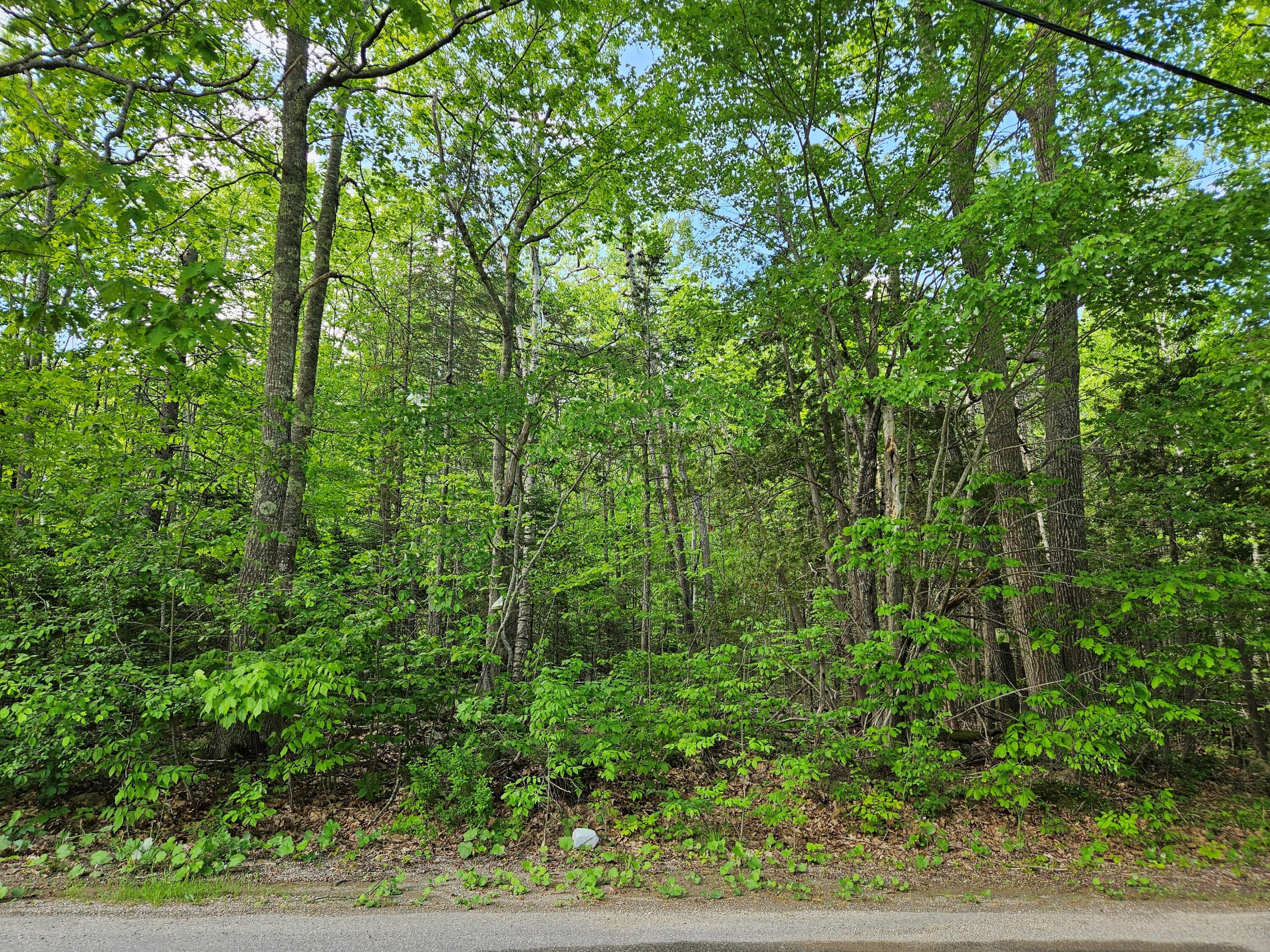76 Clark Road Winterport, ME 04496 - Photo 11 of 13 Clark 11