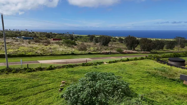 a view of a field with an ocean