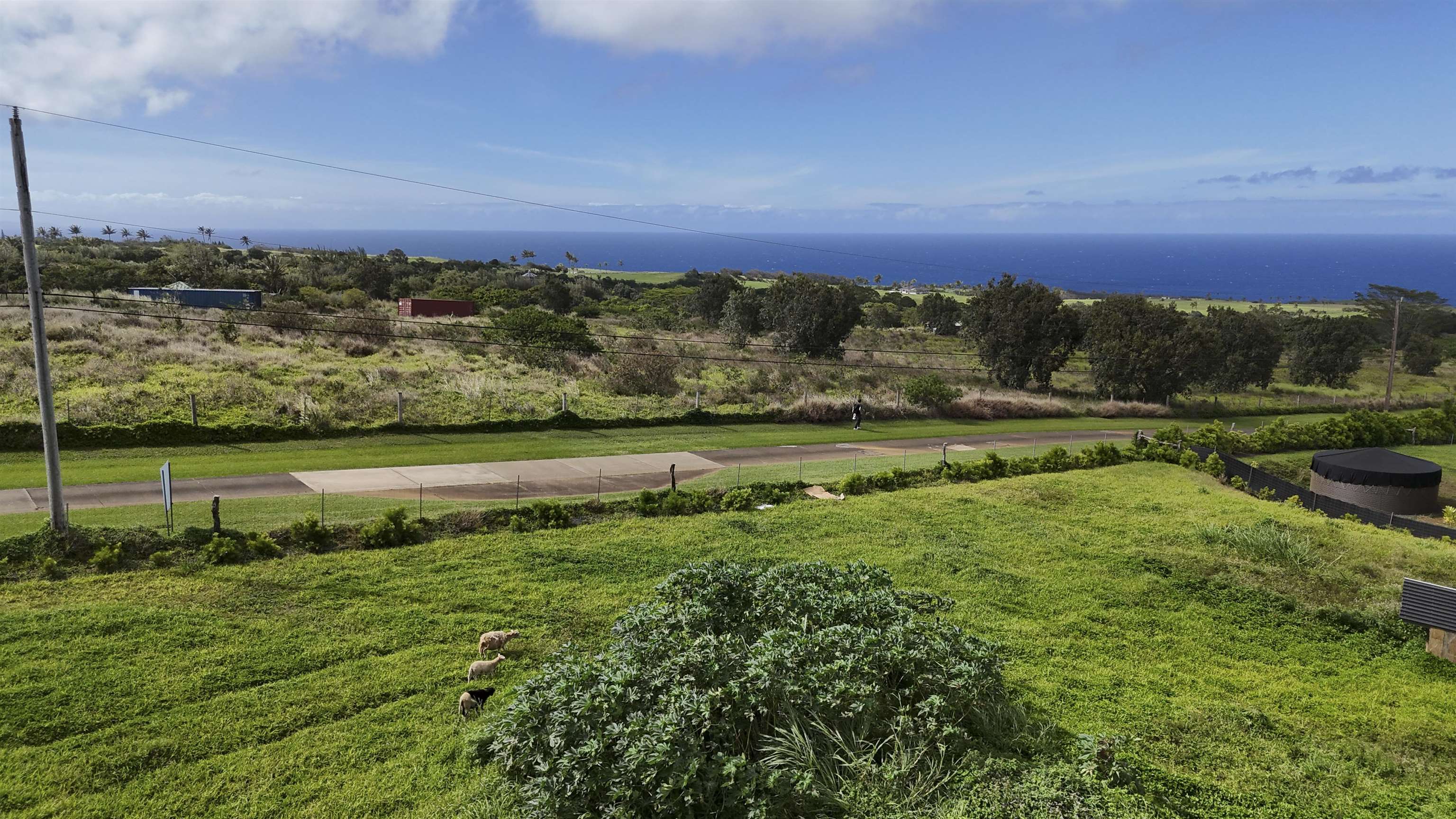 111 Mehana Road, Unit A Haiku, HI 96708 - Photo 3 of 41 a view of a field with an ocean