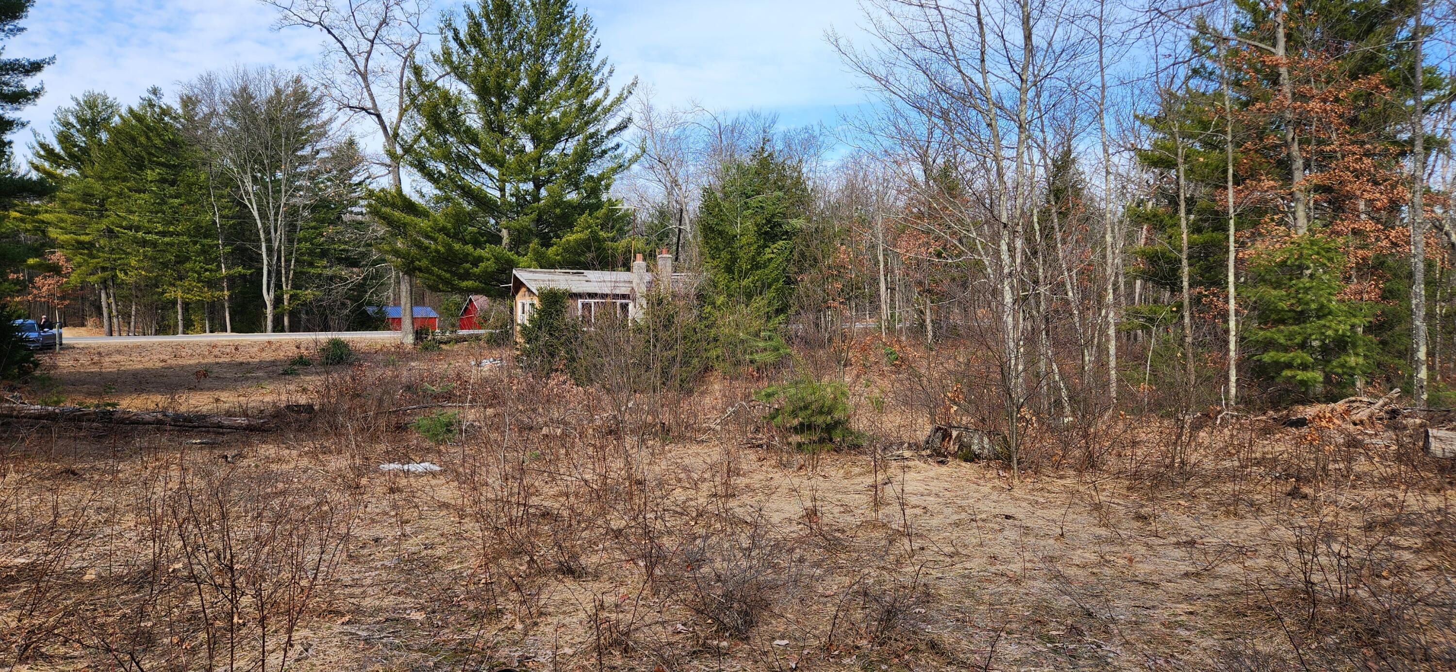 7746 North Woodbridge Road Brohman, MI 49312 - Photo 13 of 41 Looking West