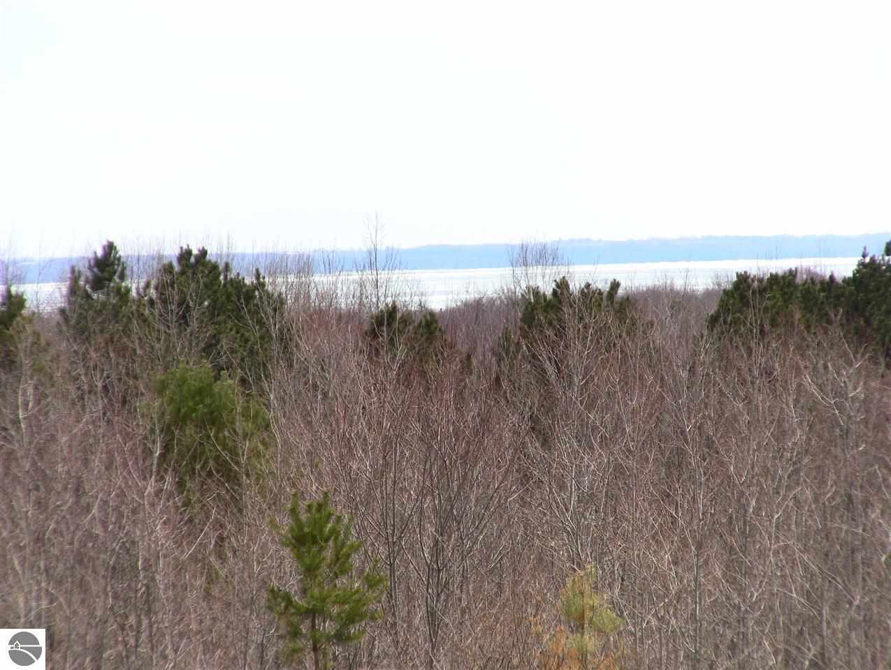 5500 North Overlook Road Omena, MI 49674 - Photo 4 of 33 1781543-3.JPG
