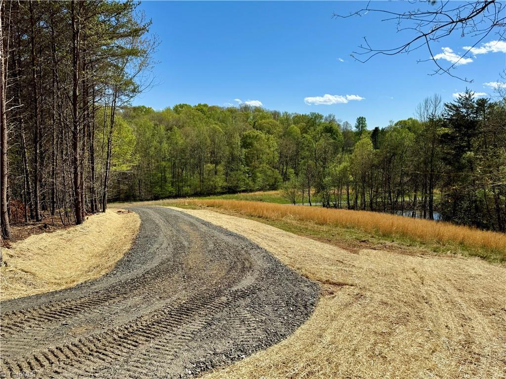 2 Thomas Farm Road King, NC 27021 - Photo 17 of 41