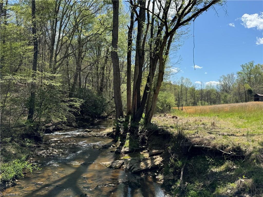 2 Thomas Farm Road King, NC 27021 - Photo 19 of 41