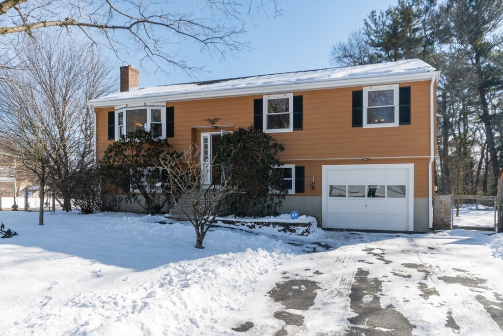 21 Meadowvale Road Burlington, MA 01803 - Photo 3 of 40