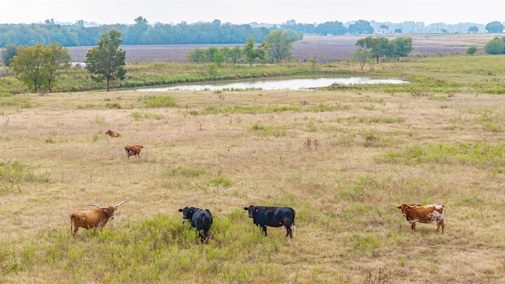 12194 Gholson Road Waco, TX 76705 - Photo 13 of 40