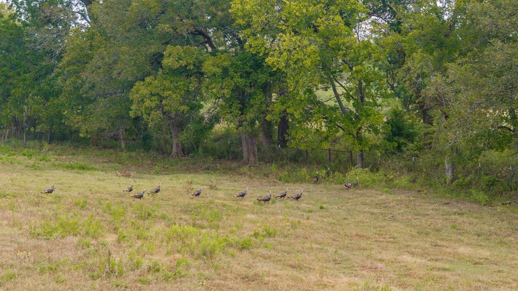 12194 Gholson Road Waco, TX 76705 - Photo 14 of 40