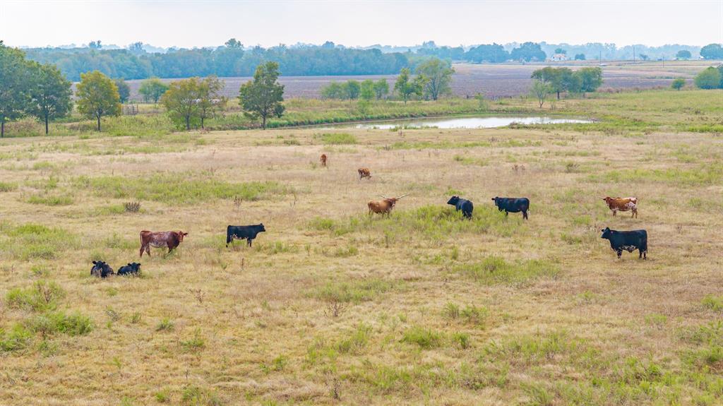 12194 Gholson Road Waco, TX 76705 - Photo 16 of 39