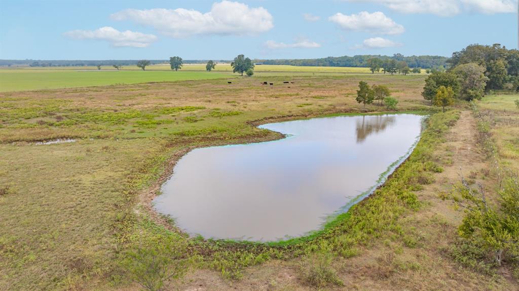 12194 Gholson Road Waco, TX 76705 - Photo 18 of 40