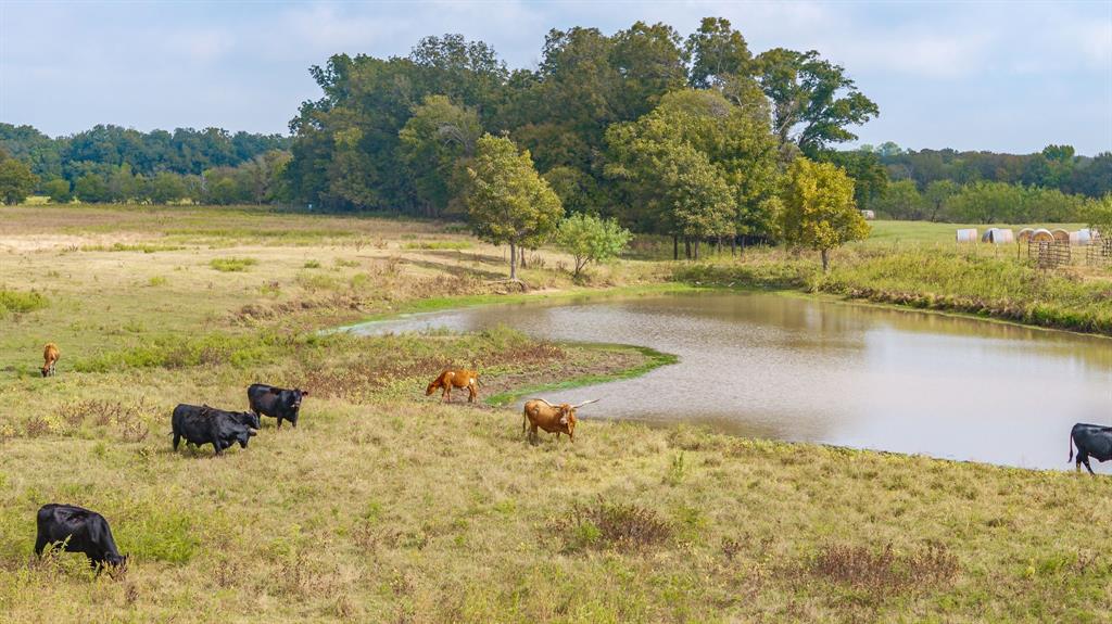 12194 Gholson Road Waco, TX 76705 - Photo 38 of 40