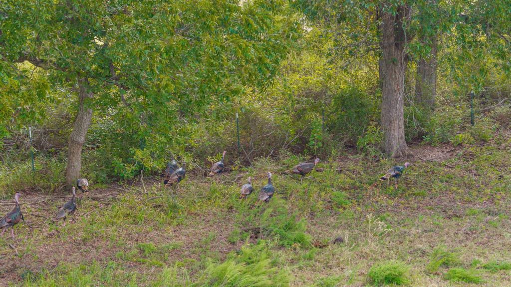 12194 Gholson Road Waco, TX 76705 - Photo 10 of 40