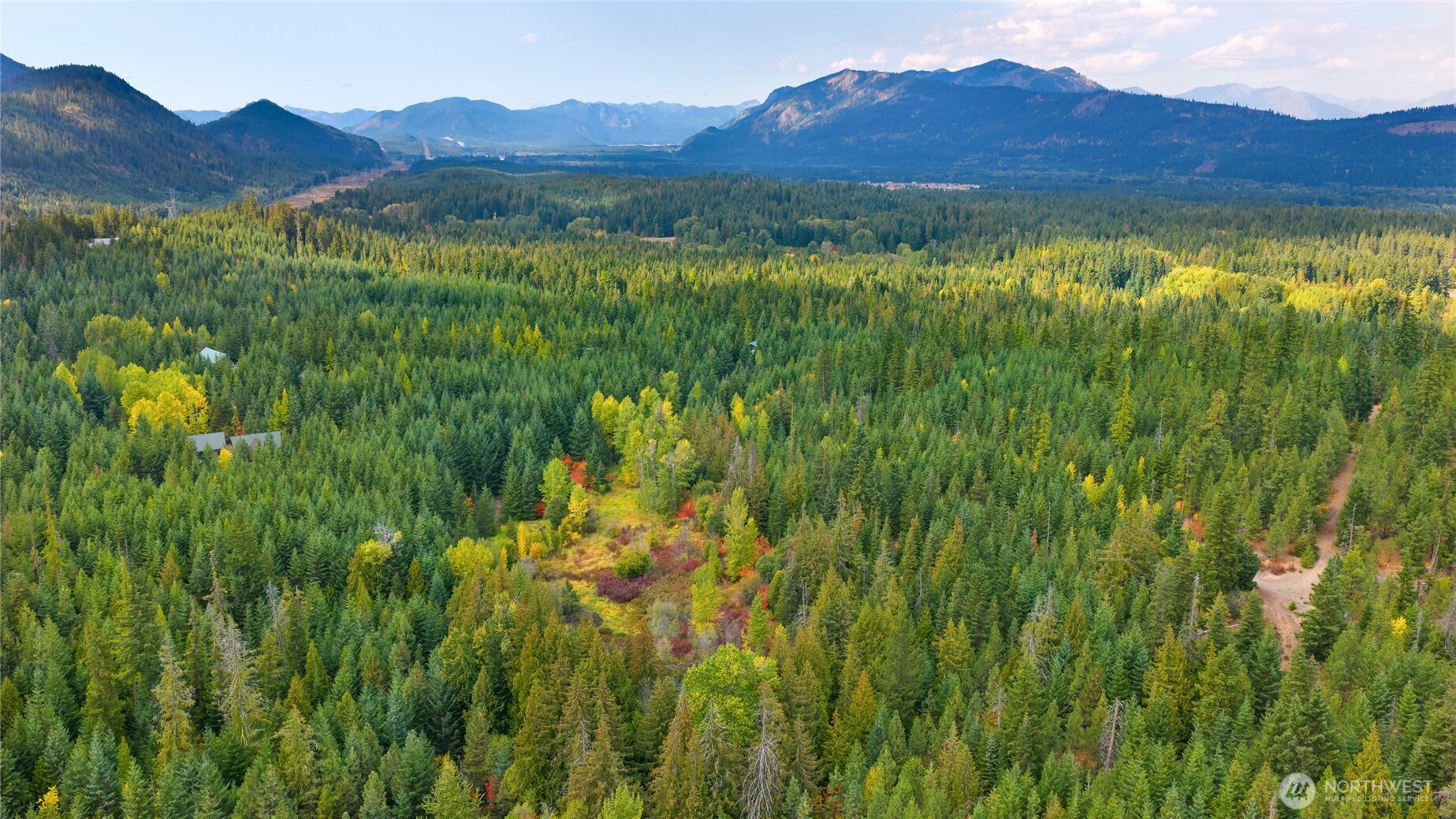 a view of a lush green hillside and a houses