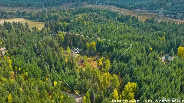 a view of residential houses with plants and large trees