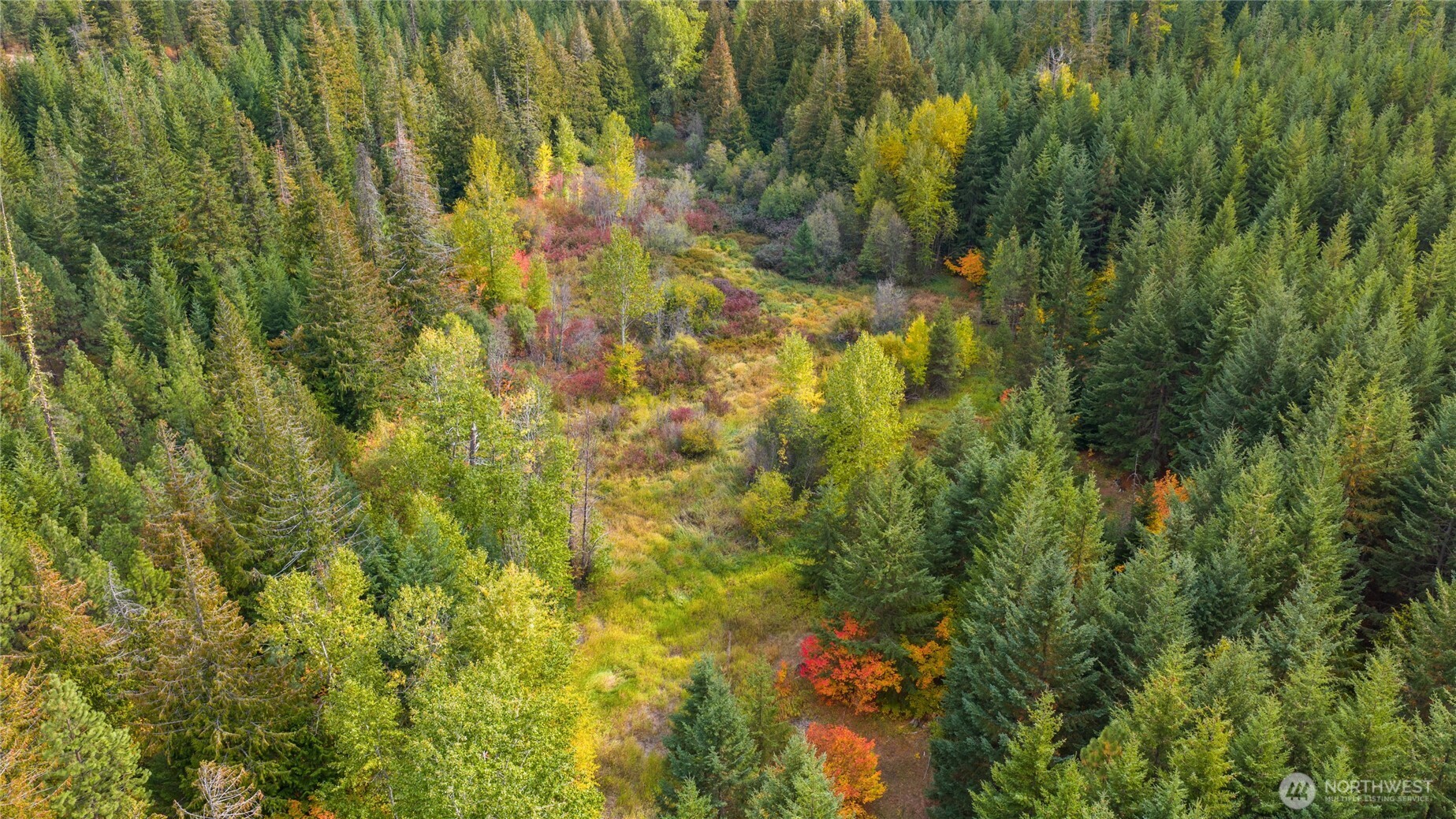 808 4517th Cle Elum, WA 98922 - Photo 19 of 28 a view of residential houses with plants and large trees