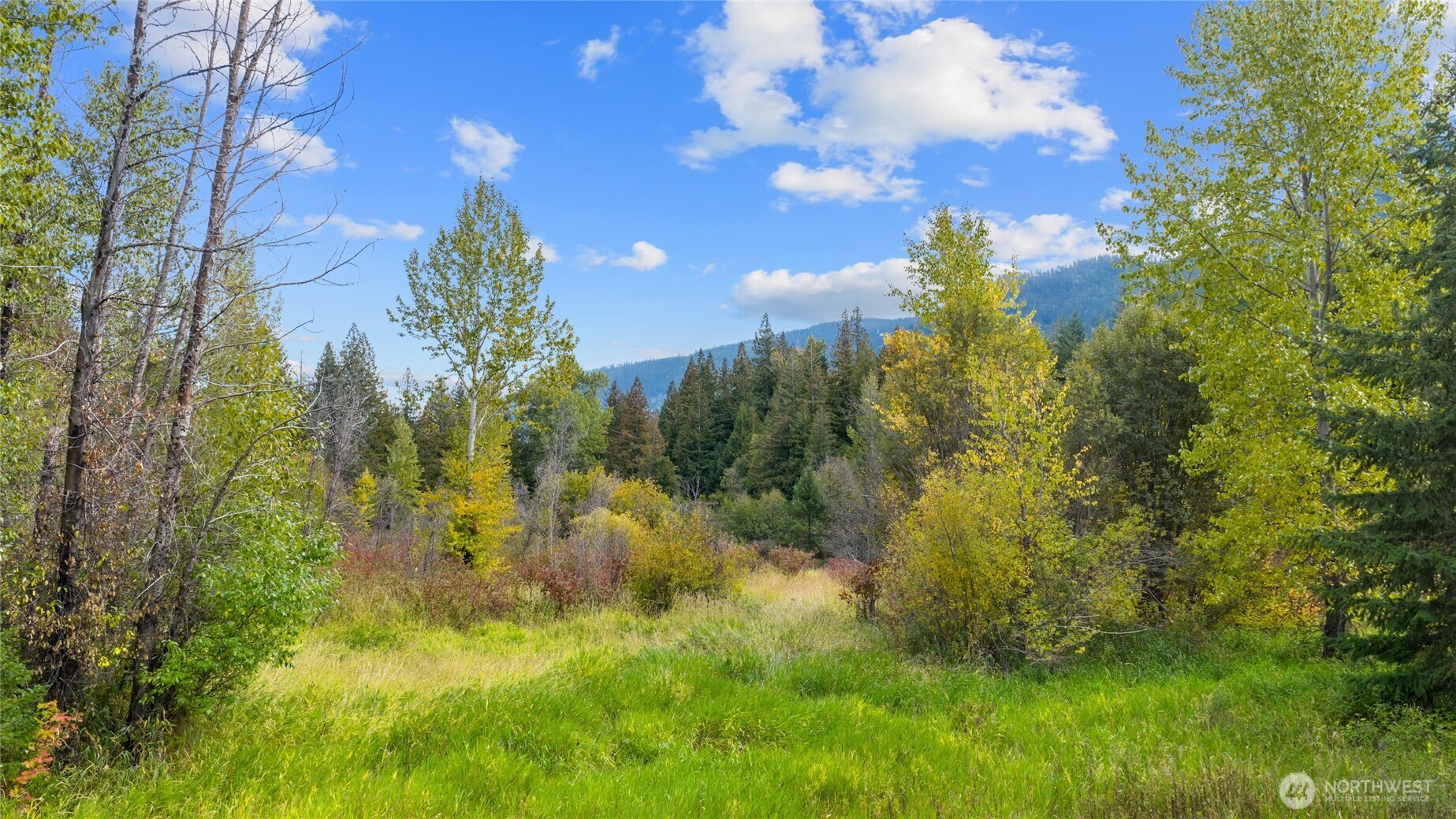 808 4517th Cle Elum, WA 98922 - Photo 20 of 28 a view of a yard