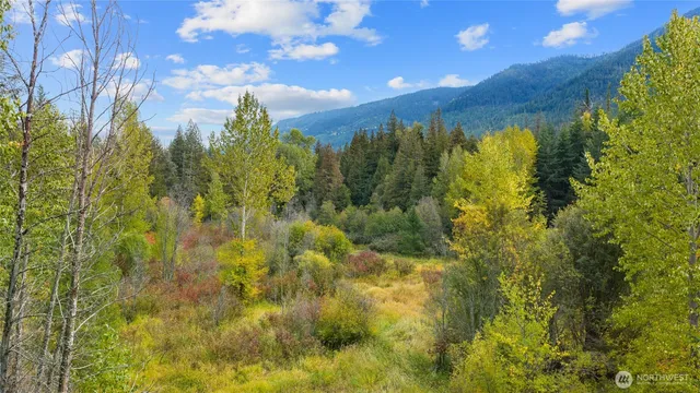 a view of an lush green mountain