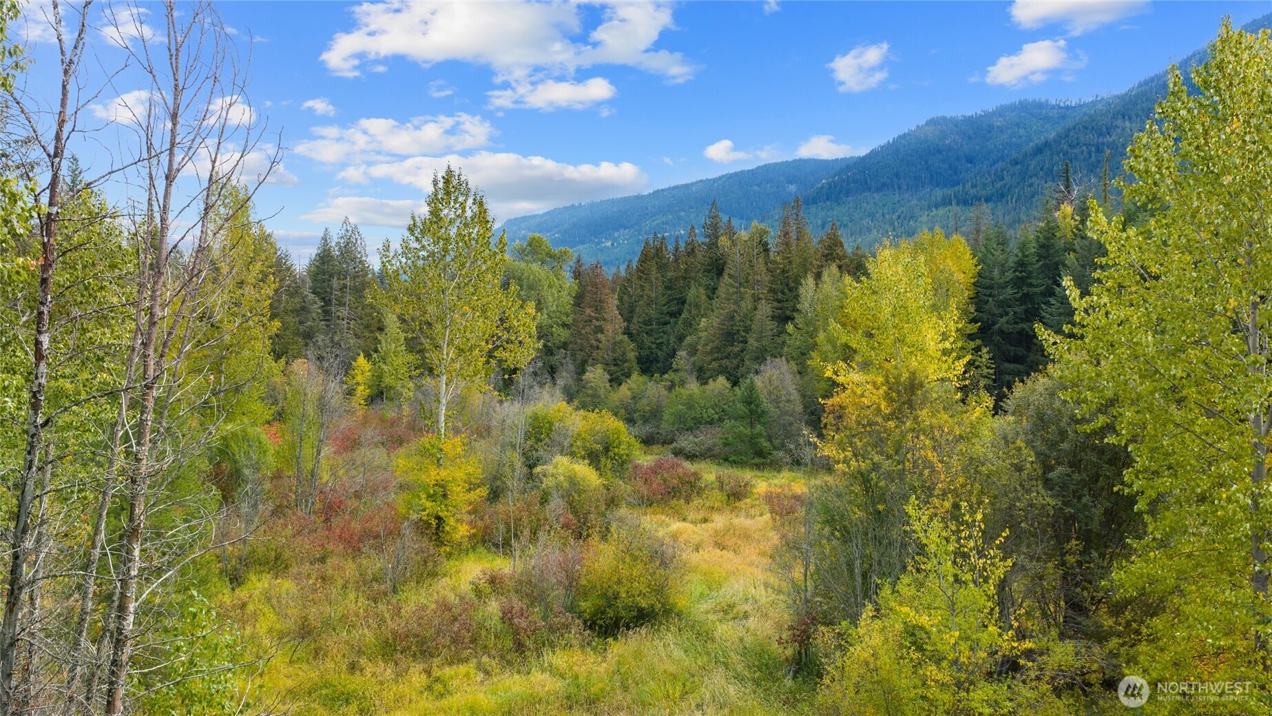 808 4517th Cle Elum, WA 98922 - Photo 21 of 28 a view of a bunch of trees