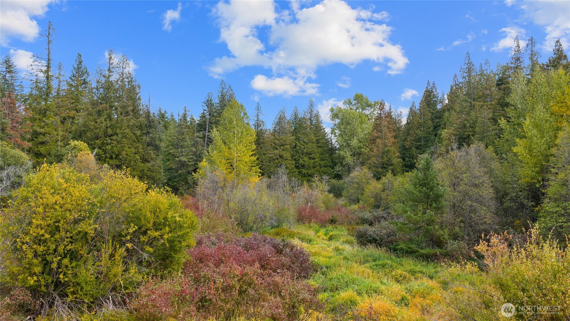 808 4517th Cle Elum, WA 98922 - Photo 22 of 28 a view of a garden