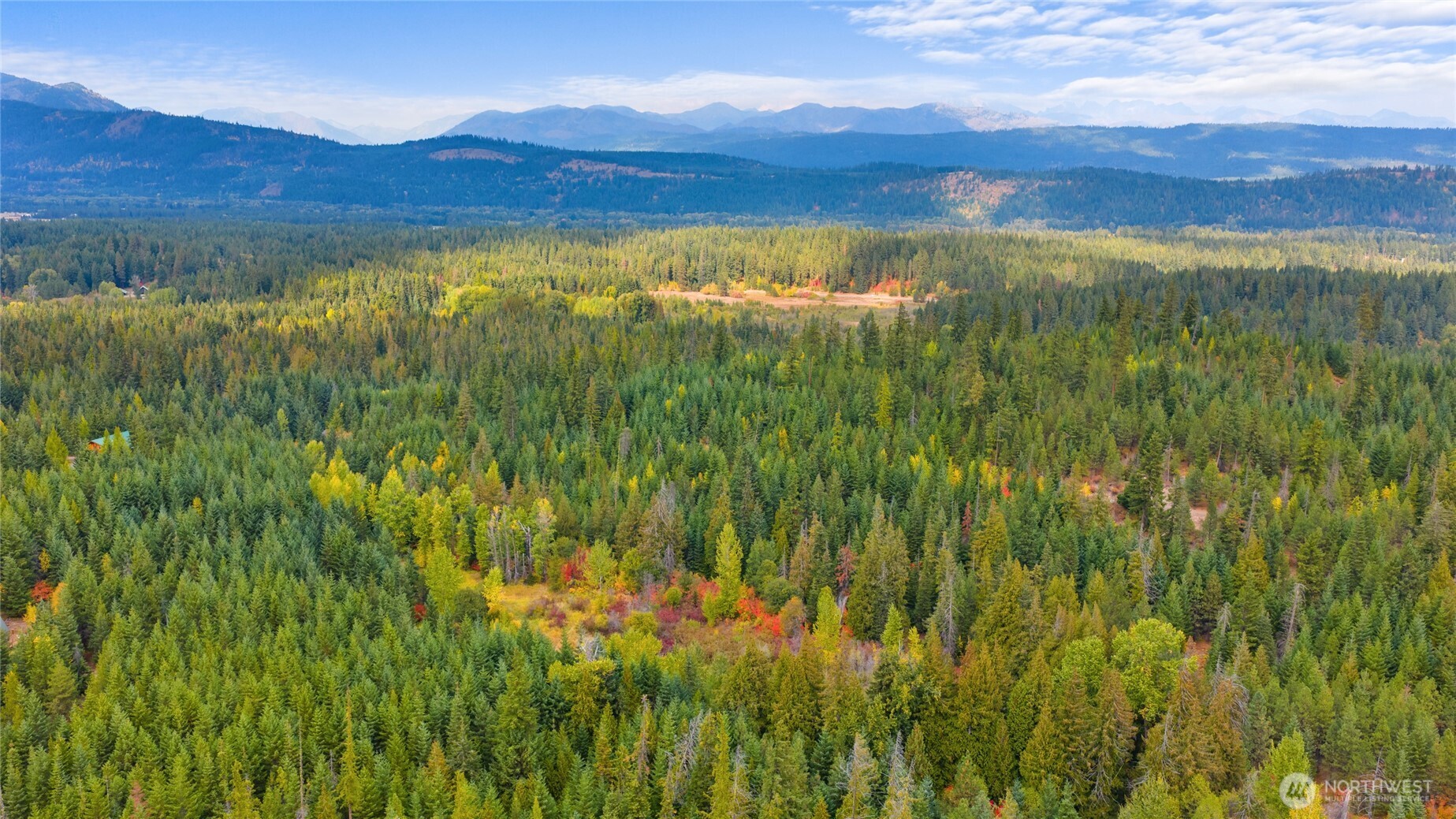 808 4517th Cle Elum, WA 98922 - Photo 23 of 28 a view of an lush green mountain