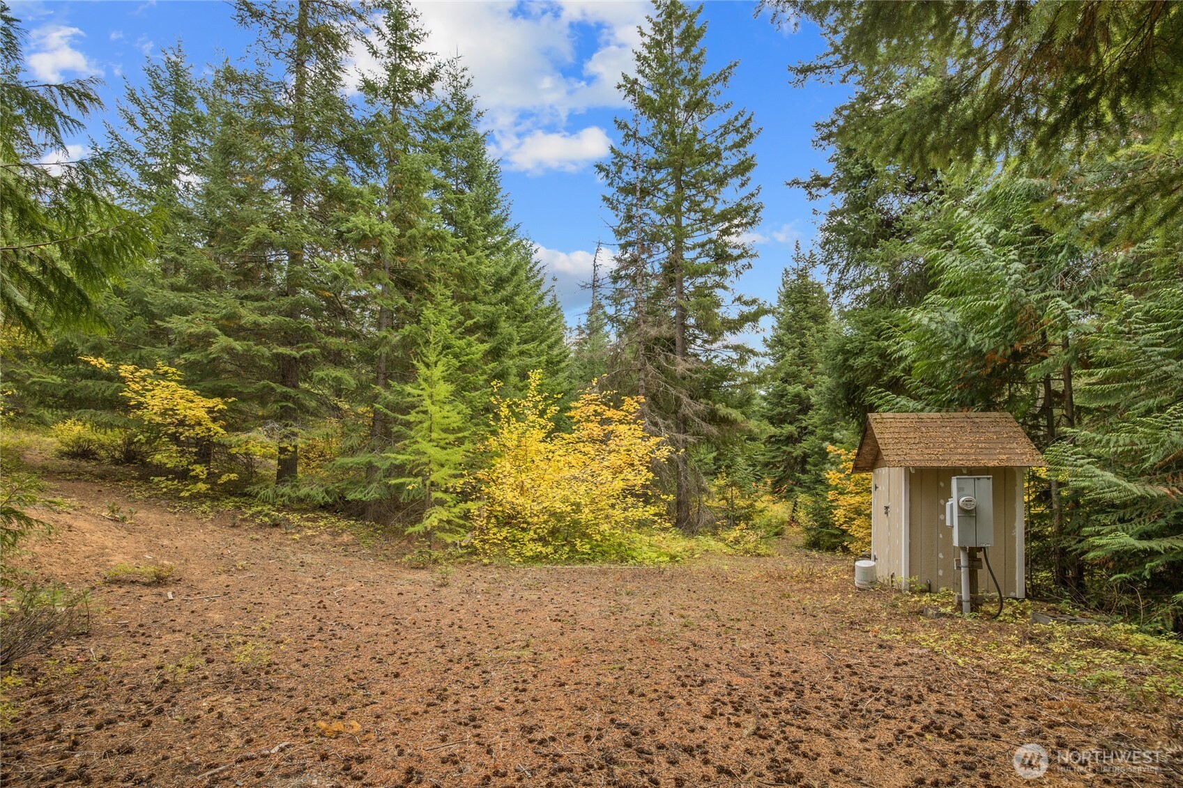 808 4517th Cle Elum, WA 98922 - Photo 4 of 28 a view of a house with a tree