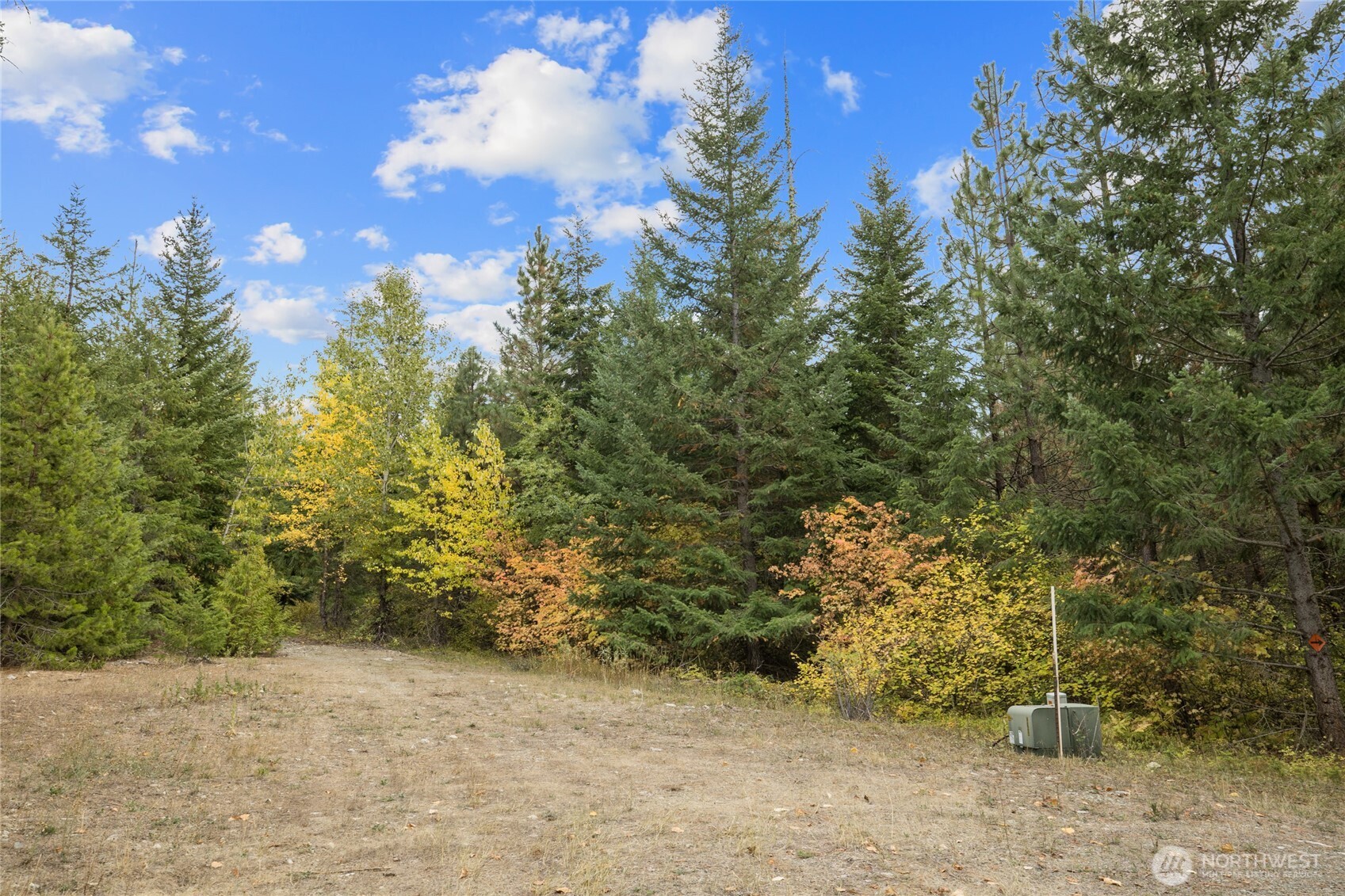 808 4517th Cle Elum, WA 98922 - Photo 5 of 28 a view of a yard with plants and trees