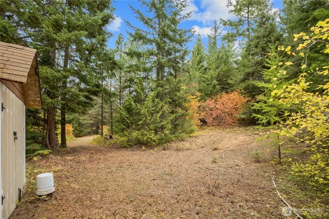 a view of a yard with plants and trees