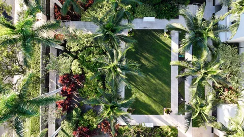 a plant that is in a garden