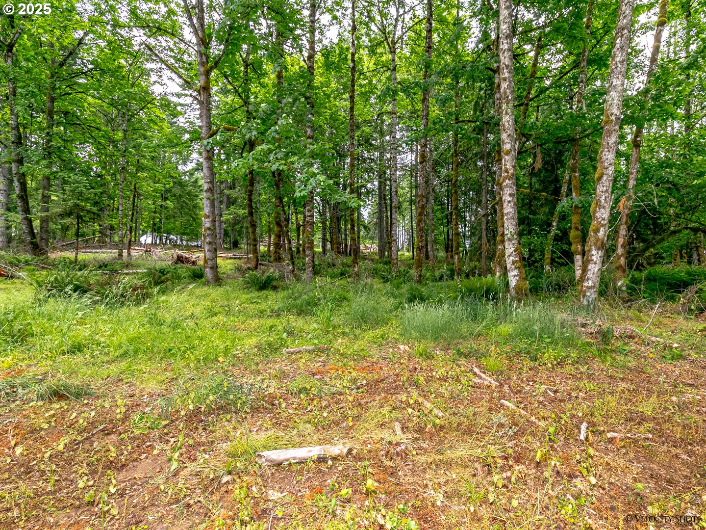 34777 Southeast Gunderson Road Sandy, OR 97055 - Photo 36 of 48