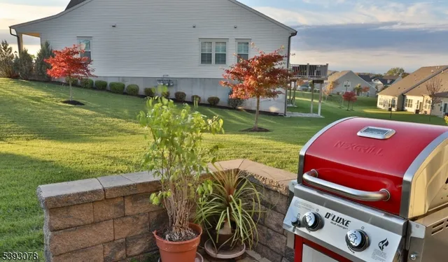 a view of a backyard with plants and a patio