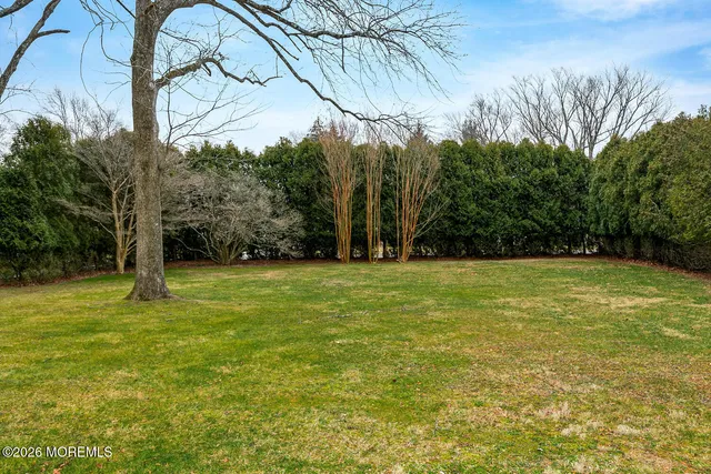 a view of outdoor space with deck and trees