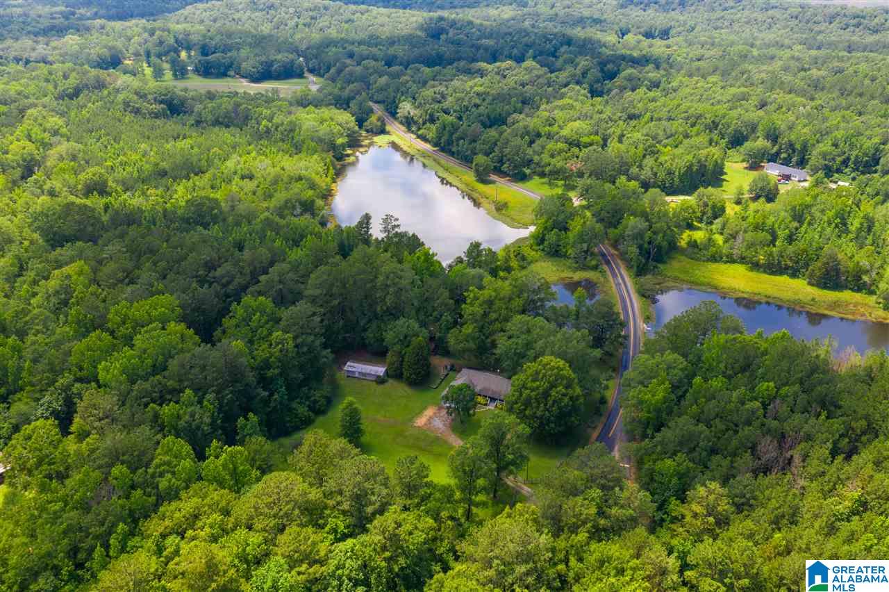1281 Highway 59 Vincent, AL 35178 - Photo 33 of 38