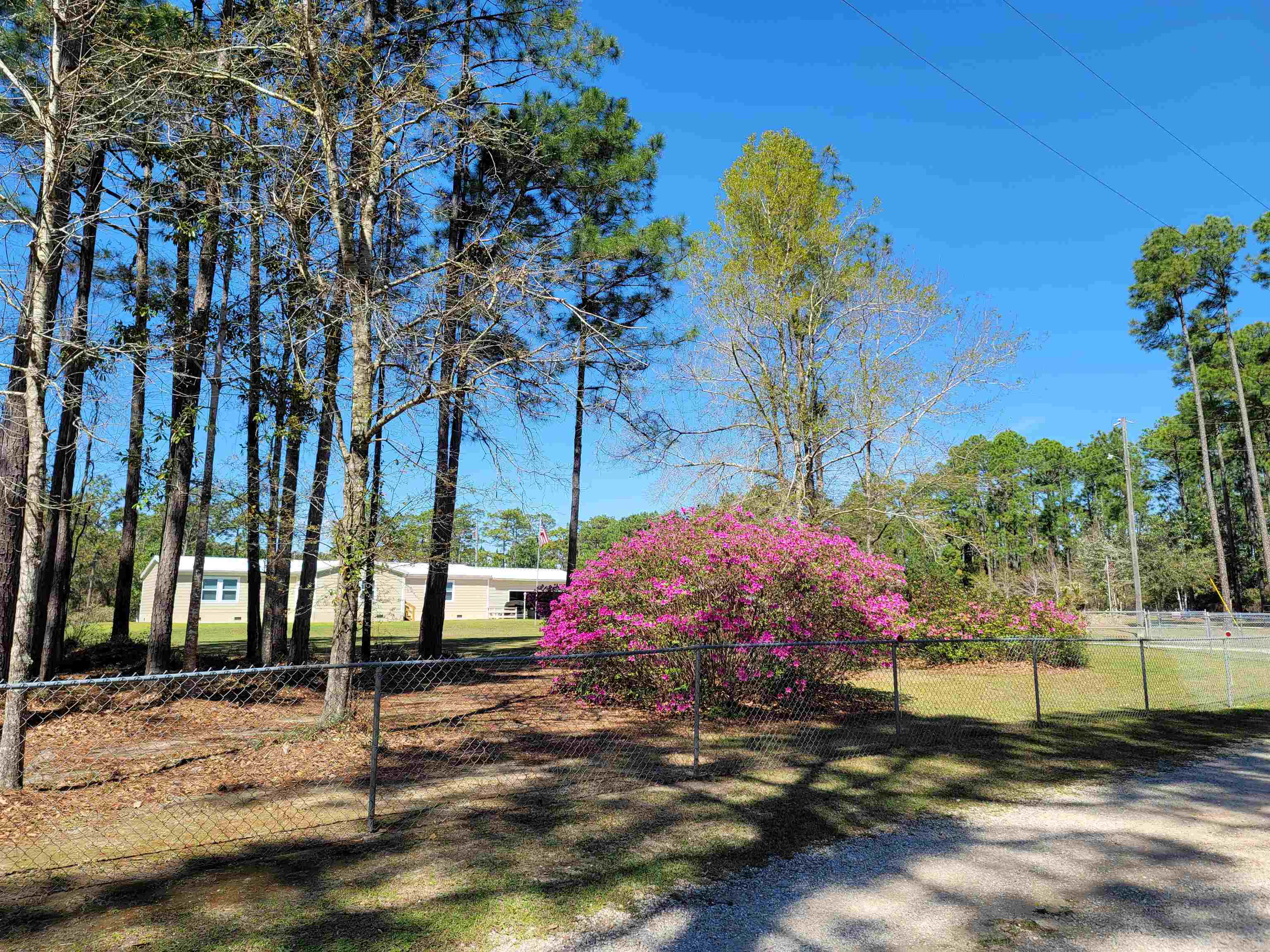 10647 Rte Road Lillian, AL 36549 - Photo 60 of 62 Yard