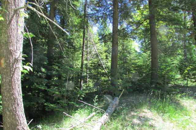 0 Round Top Road Keene, NY 12942 - Photo 8 of 8 Gallery Image 8