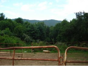 N North Of Piney Grove Road Hampton, TN 37658 - Photo 3 of 8 Photo 3