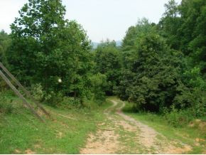 N North Of Piney Grove Road Hampton, TN 37658 - Photo 4 of 8 Photo 4