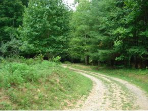 N North Of Piney Grove Road Hampton, TN 37658 - Photo 6 of 8 Photo 6
