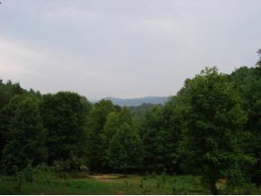 N North Of Piney Grove Road Hampton, TN 37658 - Photo 8 of 8 Photo 9