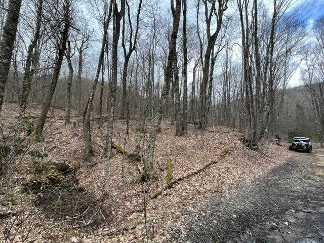 6 Squally Road Robbinsville, NC 28771 - Photo 12 of 19
