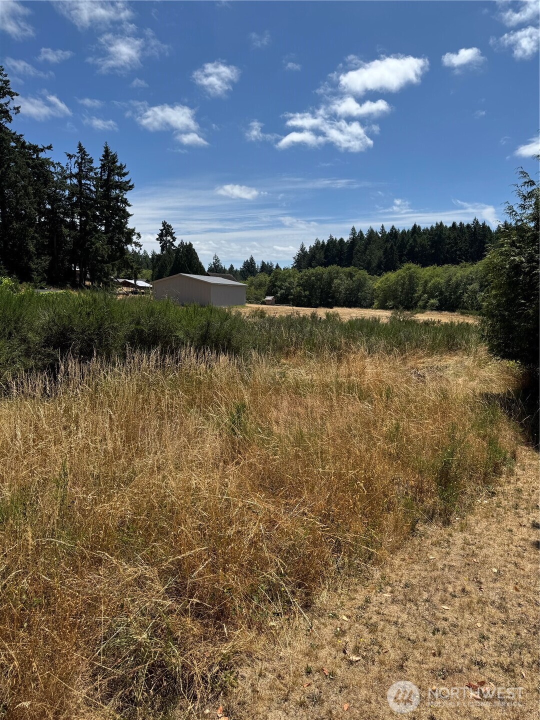 9112 Johnson Road Anderson Island, WA 98303 - Photo 1 of 16 a view of a lake from a yard