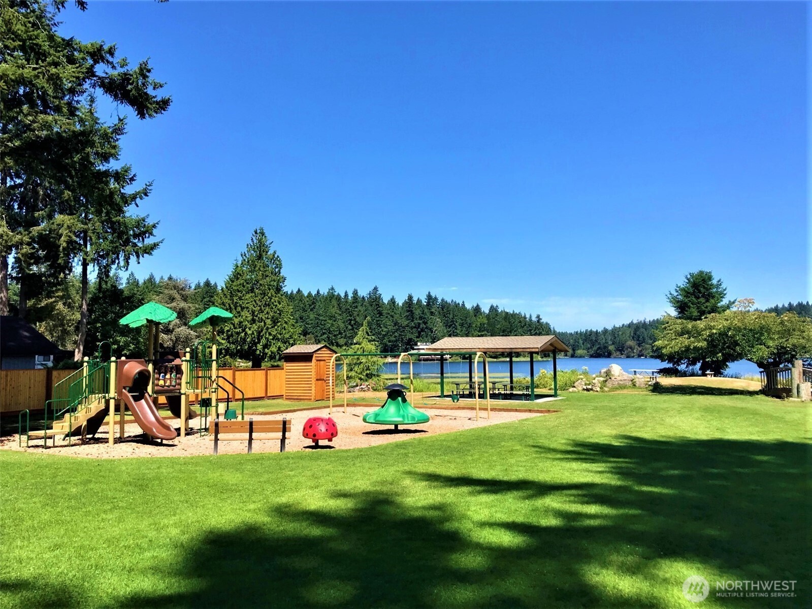 9112 Johnson Road Anderson Island, WA 98303 - Photo 8 of 16 a view of a swimming pool with lawn chairs and a big yard