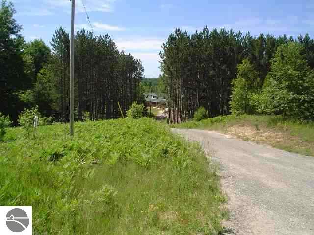 21811 16 Mile Road Leroy, MI 49655 - Photo 2 of 8 1668118-1.JPG