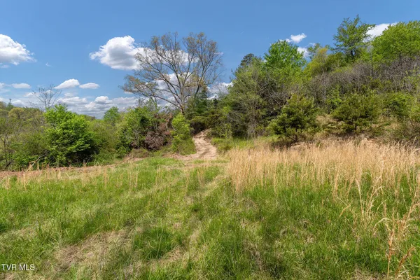 $104,300 | Tbd Lacy Hollow Road, Elizabethton, TN 37643