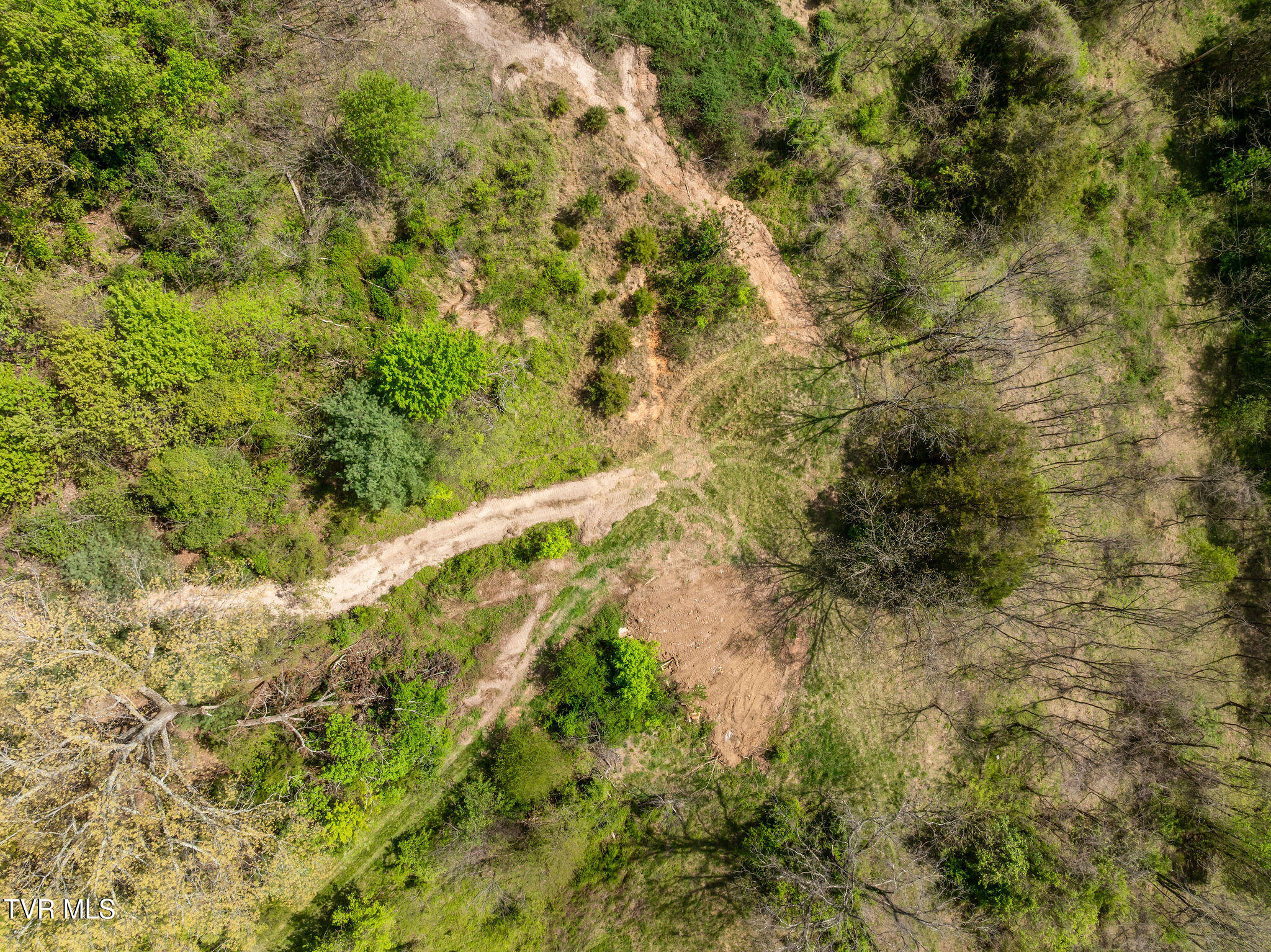 Tbd Lacy Hollow Road Elizabethton, TN 37643 - Photo 16 of 30 DJI_0844