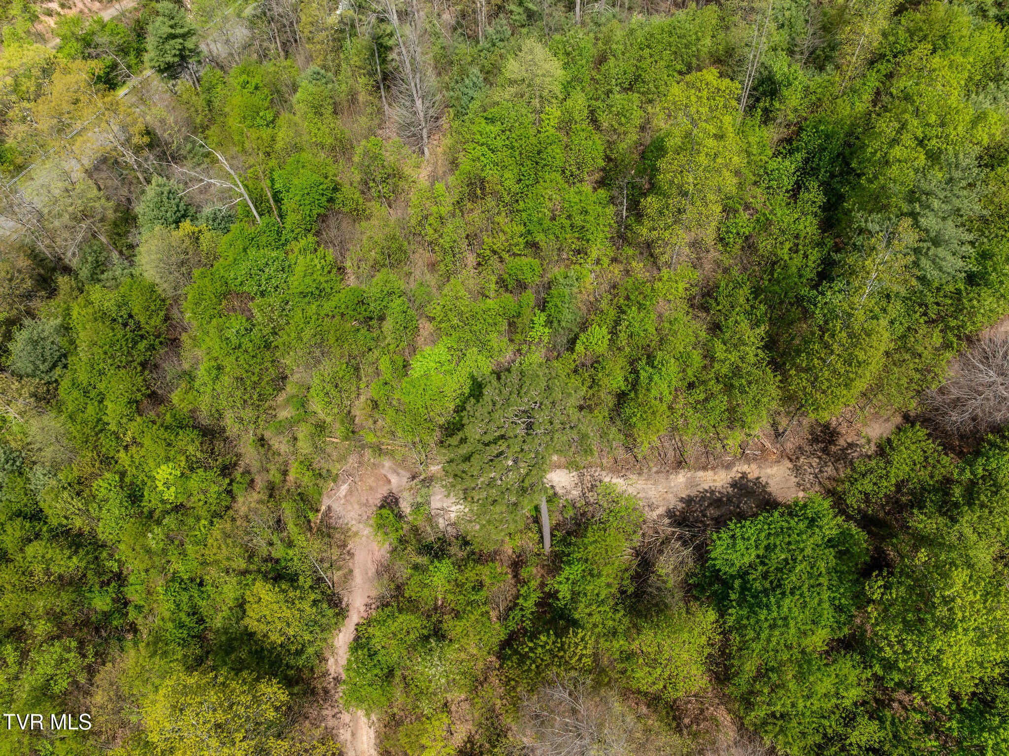 Tbd Lacy Hollow Road Elizabethton, TN 37643 - Photo 18 of 30 DJI_0854