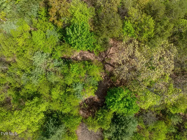 $104,300 | Tbd Lacy Hollow Road, Elizabethton, TN 37643