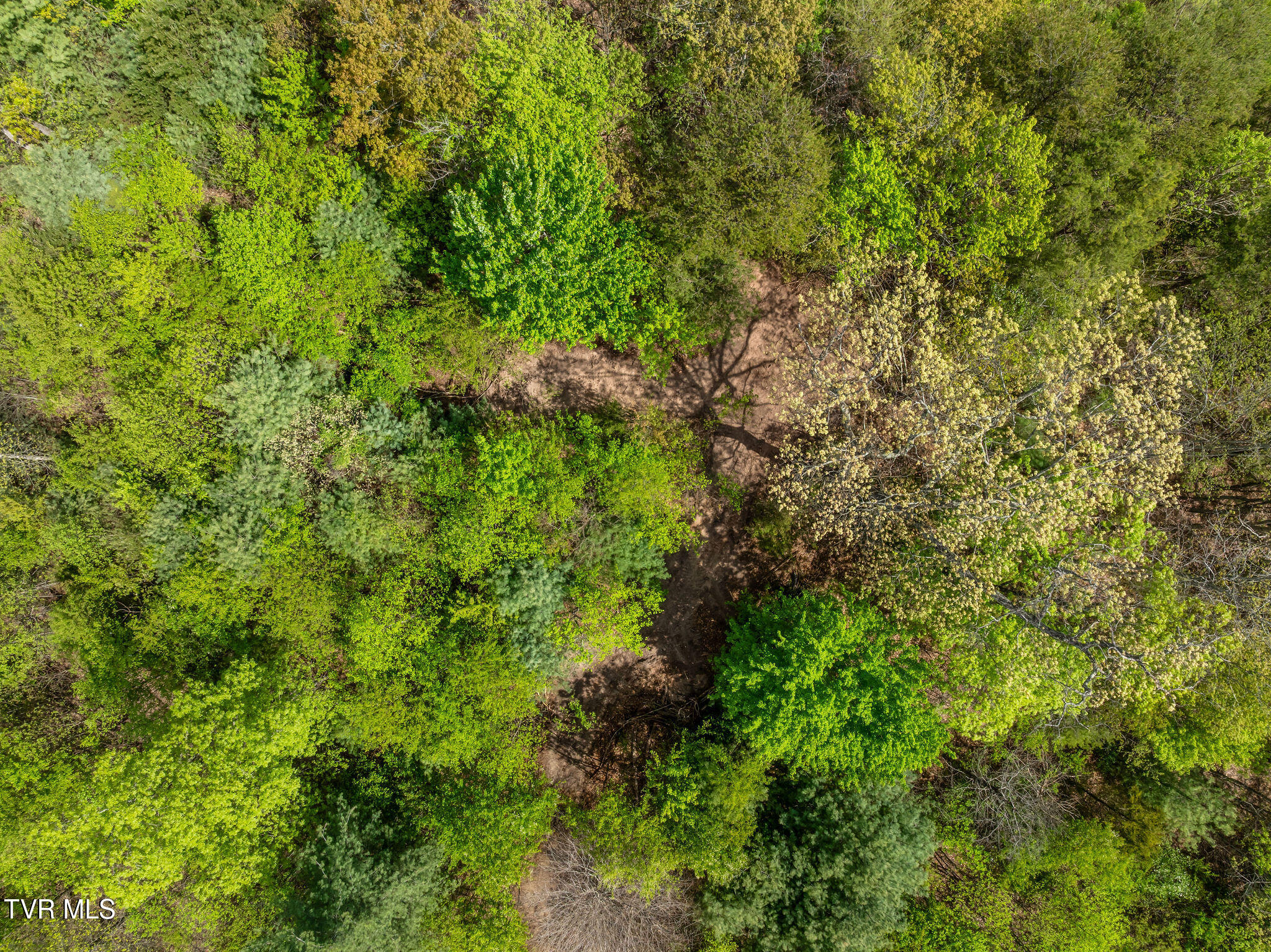 Tbd Lacy Hollow Road Elizabethton, TN 37643 - Photo 19 of 30 DJI_0859